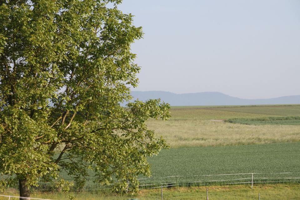 Gite Decouverte Alsace Kuhlendorf Εξωτερικό φωτογραφία